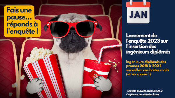 Lancement de l'enquête insertion