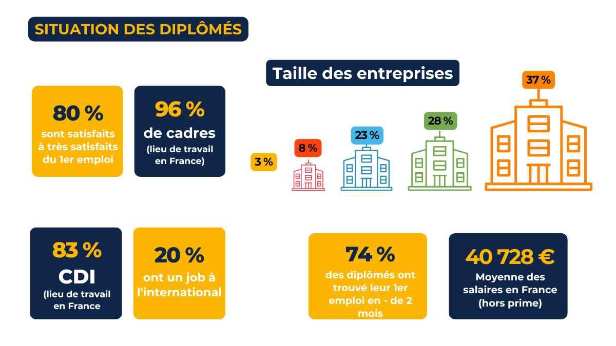 Infographie : situation des diplômés