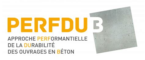 logo du projet PERFDUB