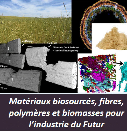 Photo montage de différents matériaux 