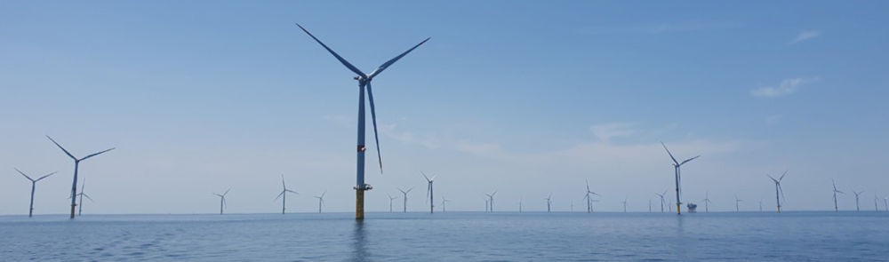 Photo d'un parc éolien offshore