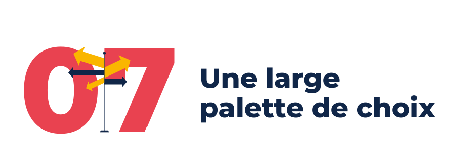 Raison 7 : une large palette de choix