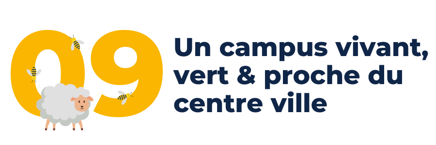 Raison 9 : Un campus vivant, vert et proche du centre ville