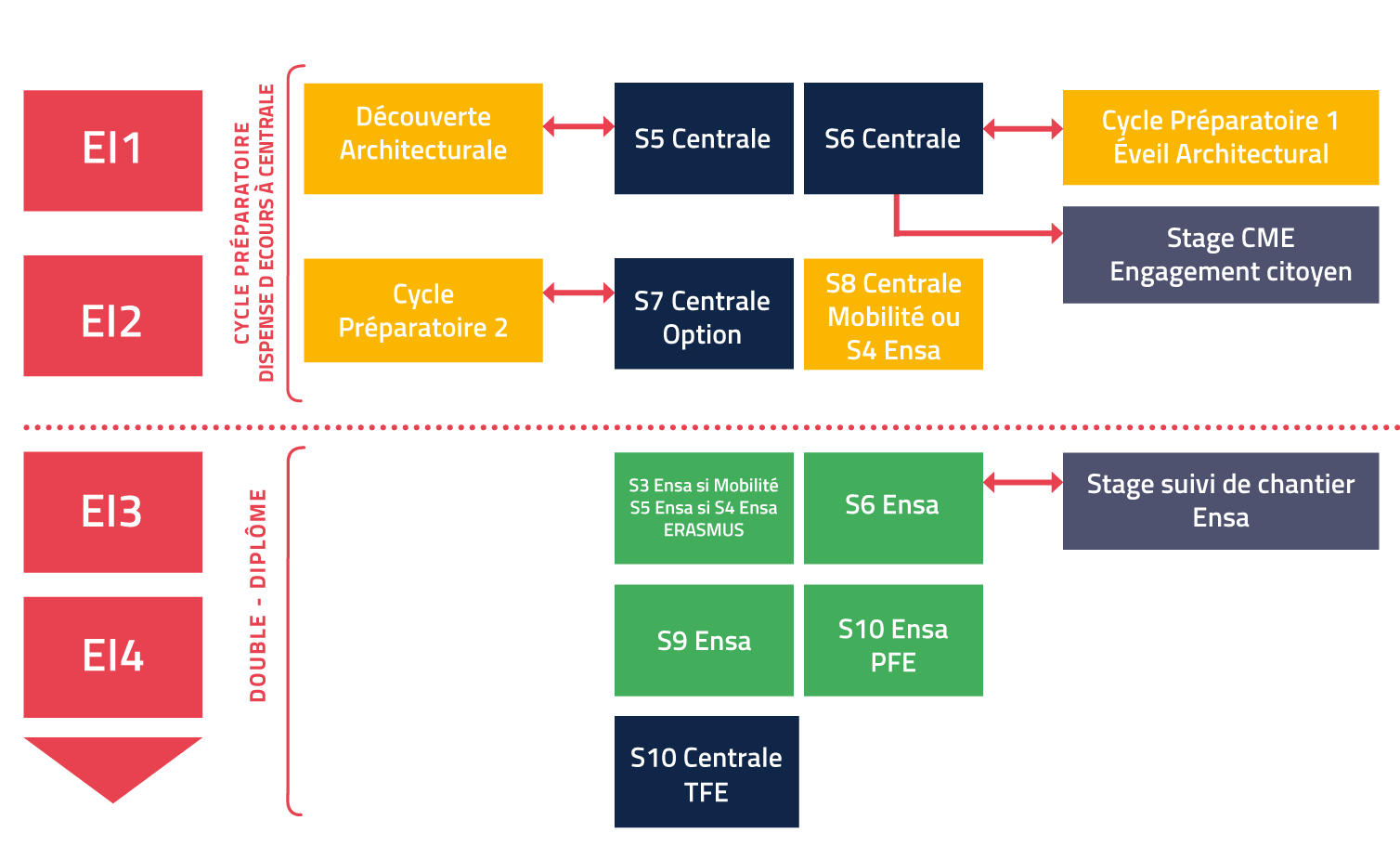 schema-cursus-ingénieur-architecte