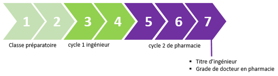 schéma_Ingénieur pharmacien