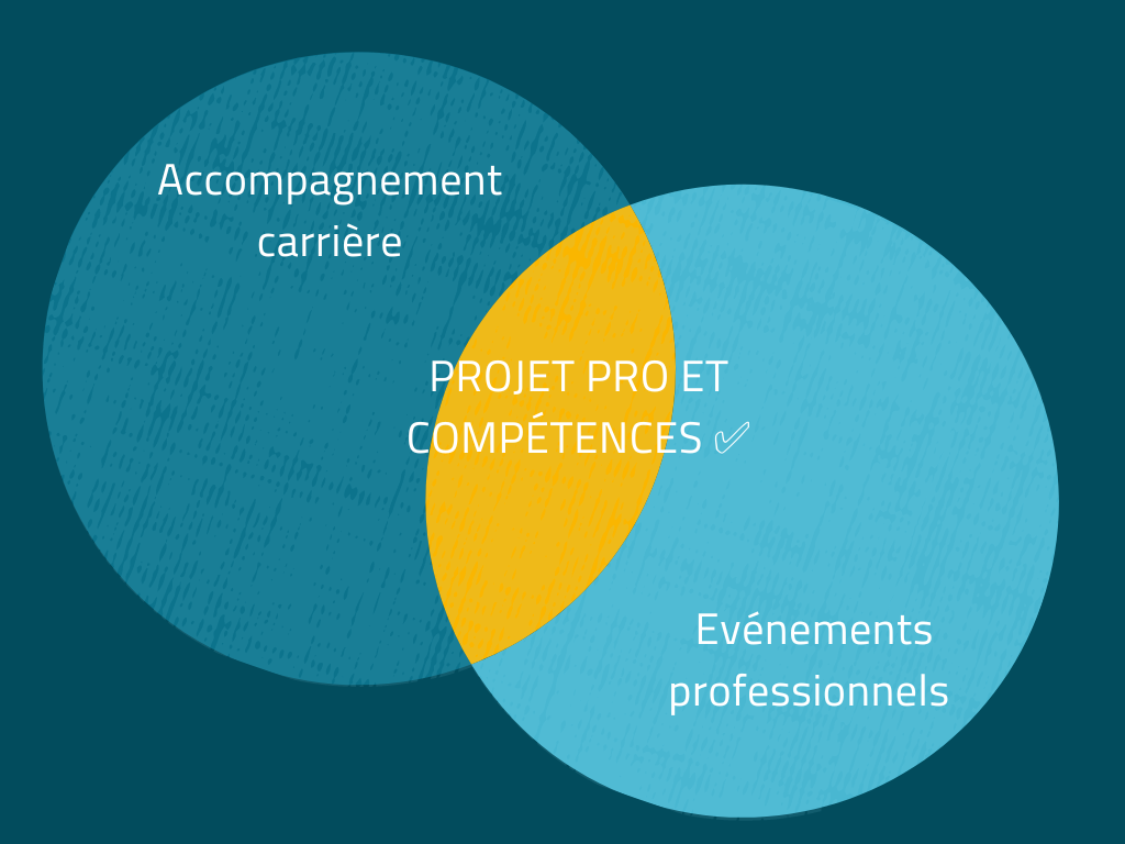 Schéma accompagnement carrière : projet pro et compétences ; évènements professionnels